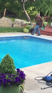 6K views · 261 reactions | Baby deer rescued from swypool | Recuse Deer | Facebook