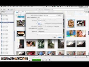 How to Bulk Resize Images in Picasa