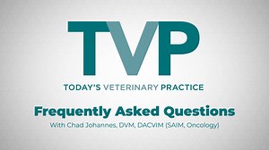 Dr. Johannes, DVM, DACVIM (SAIM, Oncology), shares how is gilvetmab being used in practice. | Today's Veterinary Practice | Facebook