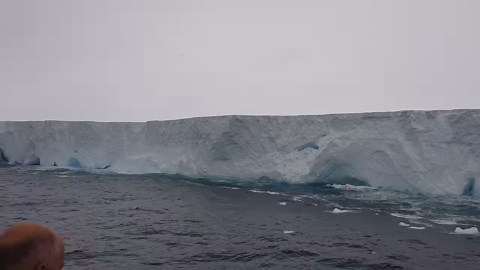 15K views · 152 reactions | The largest and oldest iceberg in the...
