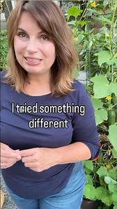 No Pests:How I Finally Beat Cucumber Beetles #gardeningtips #cucumberplant #gardenpests