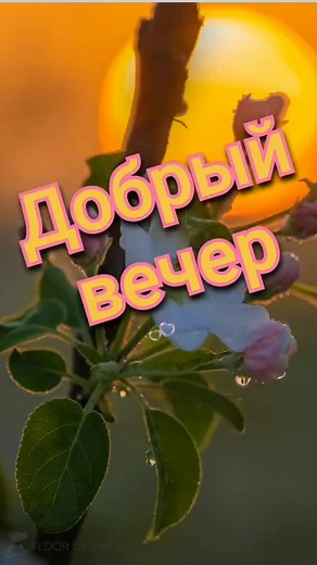 Добрый вечер! Пожелания на пятницу и выходные