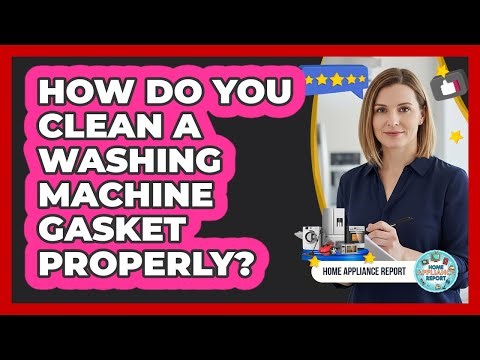 How Do You Clean A Washing Machine Gasket Properly? - Home Appliance Report