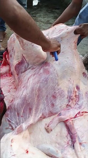 Cow Meat Processing Skills 🐄#BeefCutting #ButcherSkills #MeatProcessing #FoodPreparation