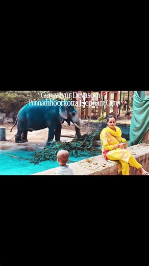 #guruvayoor #travel #thrissur #elephant #ytshorts #viral