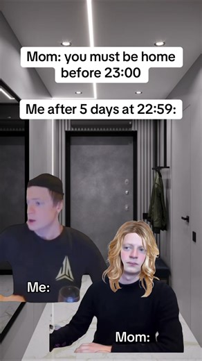 Real 😂 #memes #fyr #memestiktok