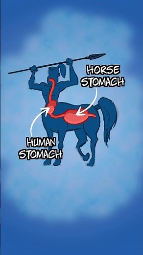 CENTAUR ANATOMY LESSON No. 2 Audio by ‪@ZacSpeaksGiant‬