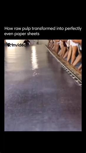 Universe unveiled on Instagram: "Raw pulp looks nothing like the smooth paper we use daily, but its transformation inside a paper mill is remarkable. Wood chips or recycled fibers are broken down, cleaned, and mixed with water into a cloudy slurry. This mixture spreads onto a fast-moving mesh belt, where water drains out and a thin, fragile sheet forms. It still resembles wet tissue, yet it’s the beginning of a usable sheet. As it moves through massive heated rollers, the fibers compress, streng