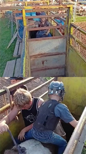 Understanding Bull Riding Safety and Risks