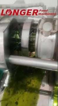 How To Make Avocado Oil With Screw Type Oil Press Machine