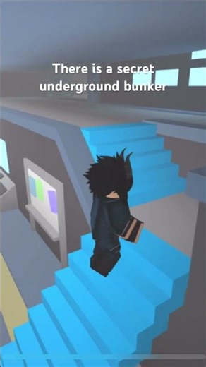 There is a secret bunker in natrul disaster