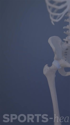 A labral tear can occur at the front of the labrum called anterior labral tear. | Spine-health