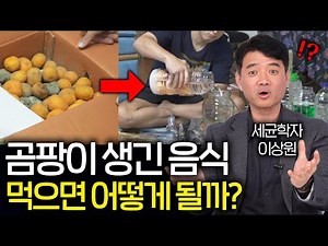 곰팡이 생긴 음식 먹는 순간 몸에서 벌어지는 일