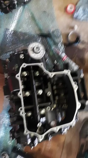 BIKES on a Budget on TikTok