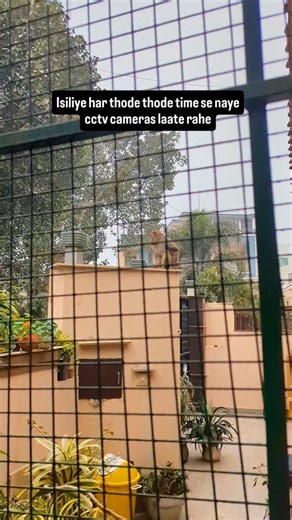 Aditya Saran | Cats and Me 🐾👨 on Instagram: "Hamare purane cctv cameras saare meowalfunction kar gaye, bas naye Wale ne sahi se kaam kiya."
