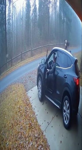 Just When I Tried To Drive 😂🚗 (You Won’t Believe What Appeared!