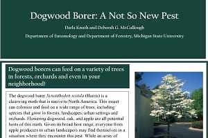 Dogwood Borer: A Not So New Pest