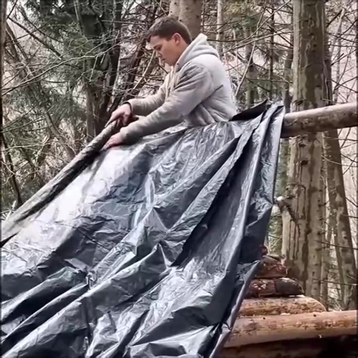 Build a Simple Log Cabin in the Woods | W3YA