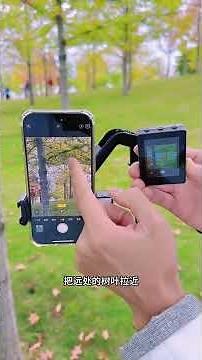 Three tips for taking autumn maple leaf photos A simple and easy-to-learn tutorial for tak