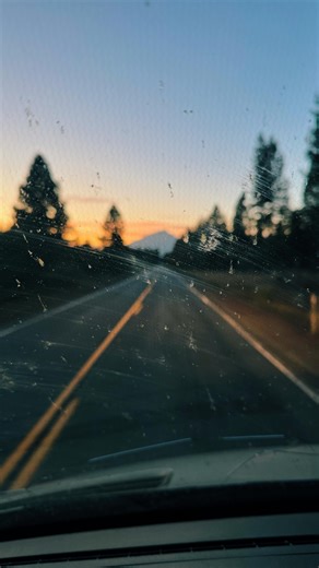 Kristen Kuzemko on Instagram: "Getting around to posting the sprinter Van conversion progress. Cause we’re only 2 years behind. Sorry @danclarkson87 Adding a cool step from Frontline Van Co. 🤙 though so stoked on that. #vanlife #vanlifediaries #mountaintown #mountainmama #outdoorslife"