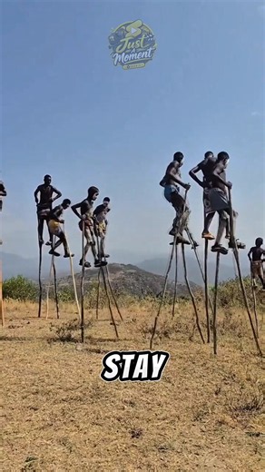Why Do They Walk on Giant Stilts? 😳 #shorts #short #viral