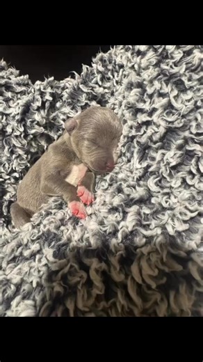 3 comments | Lisa Smith on Reels | Facebook