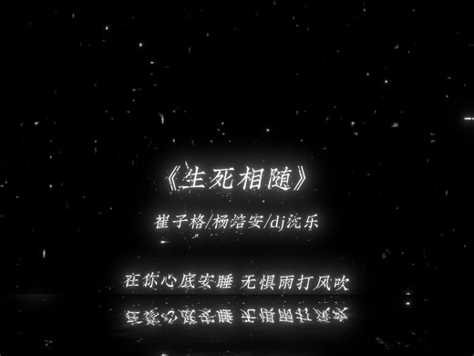 【《生死相随》崔子格/杨培安/dj沈乐】