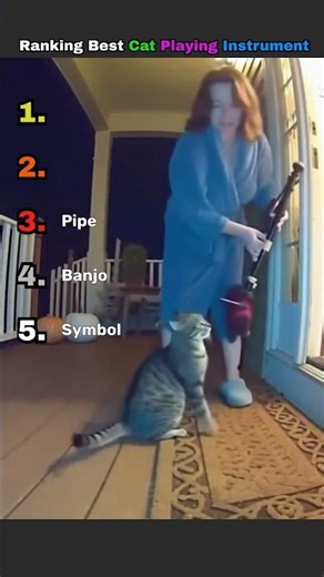 Ranking The Best Cats Playing Instruments 🎹🐱😂 #shorts
