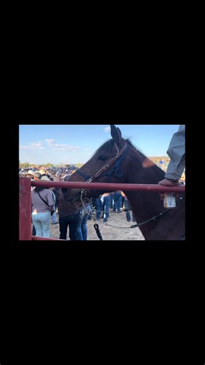 Jaripeos Michoacán