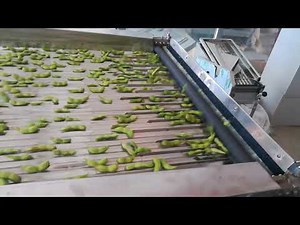 pea peeling machine, pea sheller, green soybean shelling machine