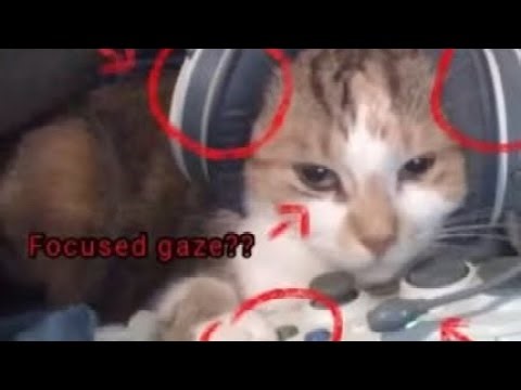 sam gellaitry - Assumptions (Slowed Vers.) (BEST PART “PERFECTLY” LOOPED) (1 Hour)