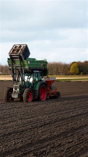 1.4K views · 61 reactions | A new growing year starts now 拾 October, November (and even up to December) = planting season. Bulbs in the ground means tulip season 2026 is officially loading Did you know it’s also the perfect time to plant tulip bulbs in your own garden? (Link in bio to shop yours in time!‍♀️) #tulipmuseum #plantingseason #tulipexperience #tulipbulbs | Tulip Experience Amsterdam | Facebook