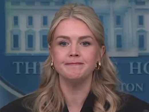 Karoline Leavitt on Trump's bruised hands: "The president is literally constantly shaking hands"
