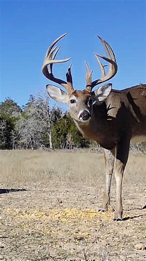 14K views · 134 reactions | REDUCED PRICE | Chandler Creek Ranch -...