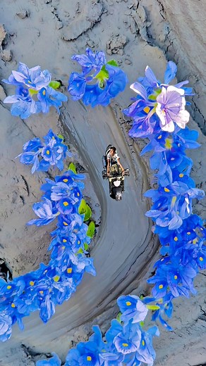 creative vediography tutorial #reelsvedio #facebookreelsvedio #reelsviral | Salim Miah