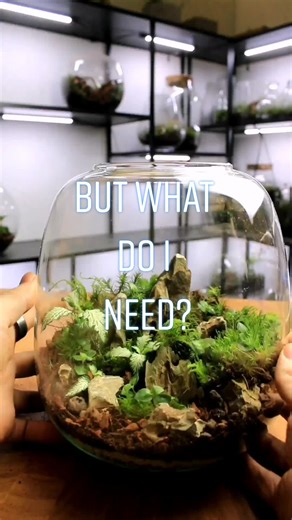 It's not as hard as it looks - or as chaotic as this music makes it sound... #terrarium #learnontiktok #tutorial #plants #nature