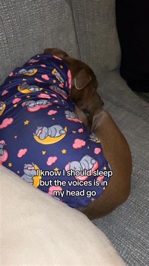 Sleep￼ or zoomies?? 🤪 #zoomiesactivated #dogvideos #pitbull #amstaff | Cali the Pit