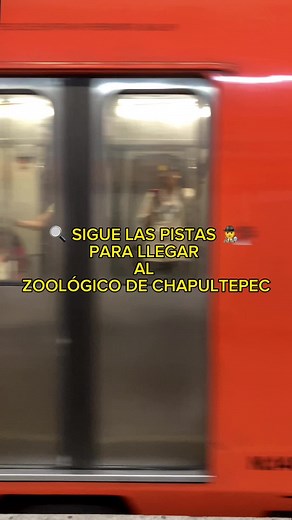 Zoo Aventuras on TikTok