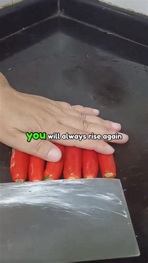 Let the trees teach you. #motivation #Inspiration #success #mindset #dailyquotes | Motivational Speech