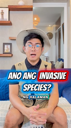 Invasive plant species and their effects on native plants | Ethan Hernandez