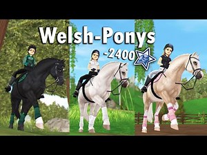 Ich kaufe 3 Welsh-Ponys! 😍 NEU & Zuckersüß 🐴 SSO Pferdekauf
