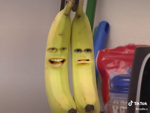 Codis Coffin Dance Mashup Cover by Annoying Orange