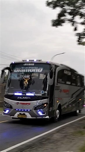 Pebepe "Diamond" || Hunting Bus di Masa Arus Mudik Lebaran 2025 (22)