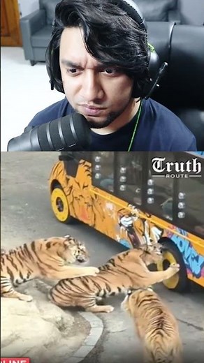 বড়ো বিড়াল | Bangla Funny Video (Meme Review) | KaaloBador