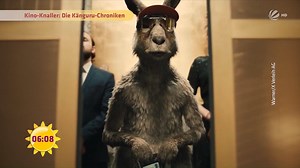 Ein Kinofilm, der die Überraschung des Jahres werden könnte: Die Rede ist von "Die Känguru-Chroniken". 🦘 Die Verfilmung des gleichnamigen Buches handelt von einem kommunistischen Känguru, das sprechen kann und eine Schwäche für Schnapspralinen hat. 😆 Habt ihr bereits die Bücher gelesen? #FFS | SAT.1 Frühstücksfernsehen