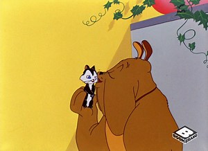 Wishing you a very lazy Saturday. | Boomerang