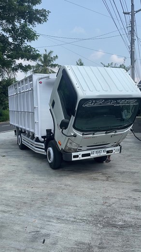 Beli Truck Bekas Berkualitas dengan Bak Variasi Sesuai Permintaan di Arya117
