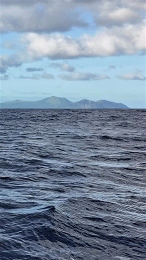 Sailfish jumping at the side of the boat? Put that on the fishing bucket list 🙌🏻 Ask any angler: sailfish are one of the most exciting fish to catch 👊🏻 With blistering runs, acrobatic leaps, and that iconic sail slicing through the water, few fish put on a show quite like them. Fast, fierce, and unforgettable – this is sportfishing at its finest 🌴 | Ocean Blue Fishing Adventures