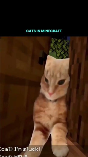 cats in Minecraft be like ! #memes #minecraft