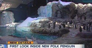 Live Penguin Cam, plus tour though new center